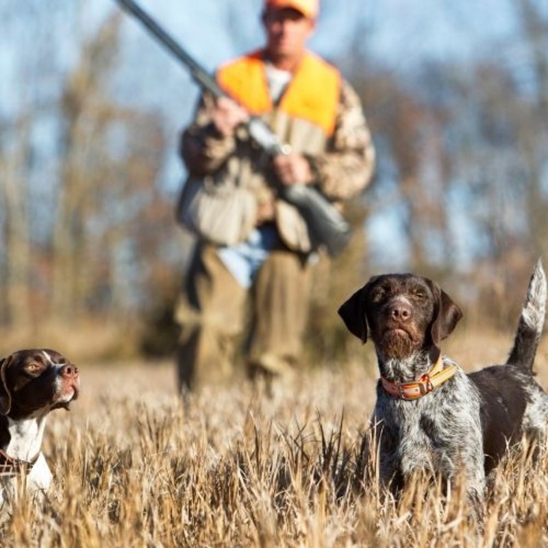 Société de chasse