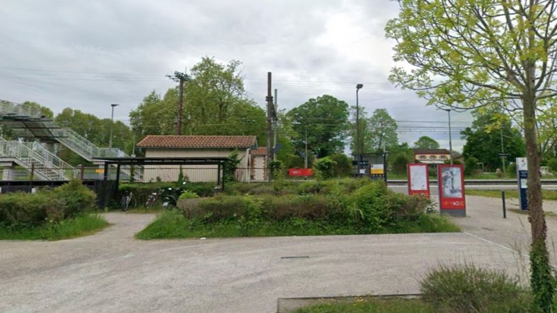 Train 
